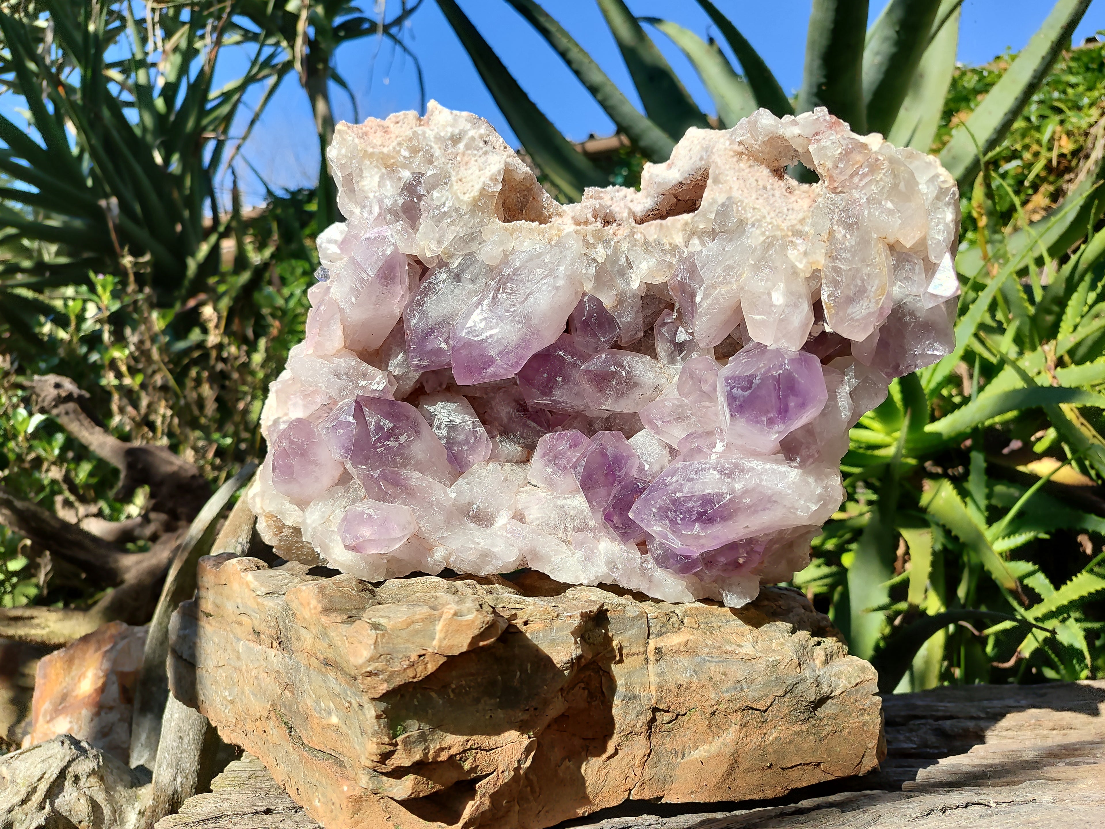 Natural Jacaranda Amethyst Quartz Cluster x 1 From Mumbwa, Zambia - Toprock Gemstones and Minerals 