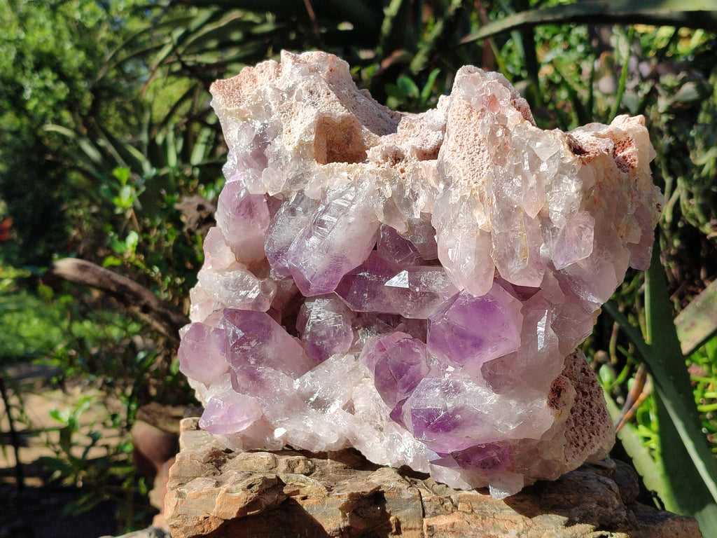Natural Jacaranda Amethyst Quartz Cluster x 1 From Mumbwa, Zambia - Toprock Gemstones and Minerals 