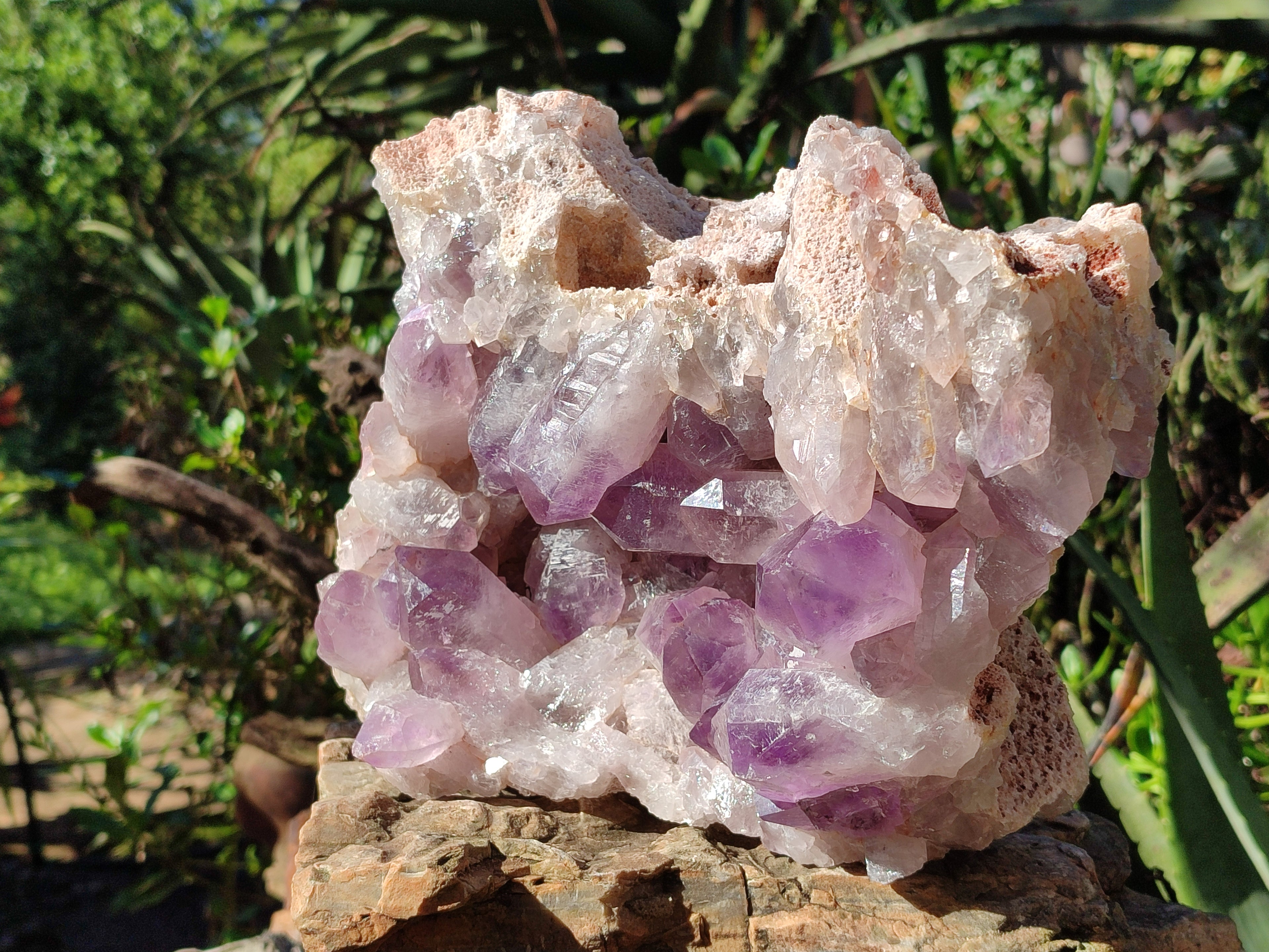 Natural Jacaranda Amethyst Quartz Cluster x 1 From Mumbwa, Zambia - Toprock Gemstones and Minerals 
