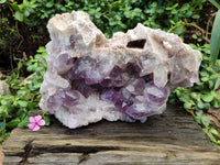 Natural Jacaranda Amethyst Quartz Cluster x 1 From Mumbwa, Zambia
