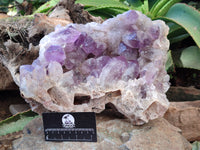 Natural Jacaranda Amethyst Quartz Cluster x 1 From Mumbwa, Zambia