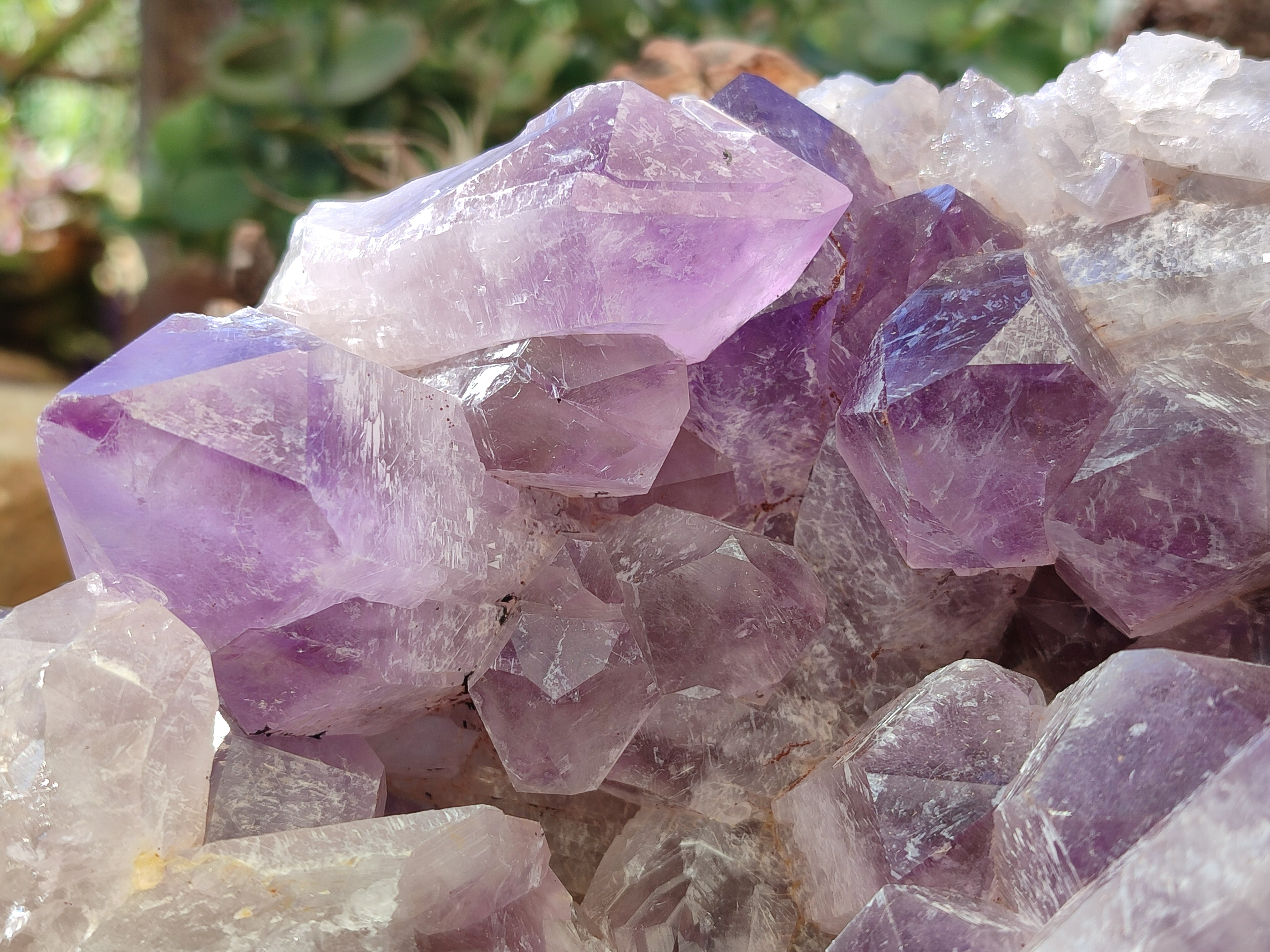 Natural Jacaranda Amethyst Quartz Cluster x 1 From Mumbwa, Zambia - Toprock Gemstones and Minerals 