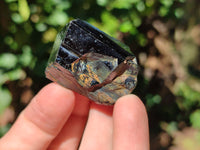 Natural Schorl Black Tourmaline Specimens with Hyalite Opal x 20 From Erongo, Namibia