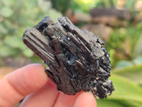 Natural Schorl Black Tourmaline Specimens with Hyalite Opal x 20 From Erongo, Namibia