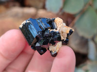 Natural Schorl Black Tourmaline Specimens with Hyalite Opal x 20 From Erongo, Namibia