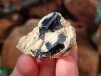 Natural Schorl Black Tourmaline Specimens with Hyalite Opal x 20 From Erongo, Namibia