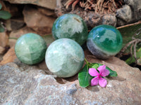 Polished Fluorescent Green Fluorite Spheres x 4 From Madagascar