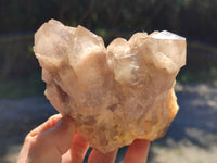 Natural Phantom Quartz Clusters x 2 From Luena, Congo