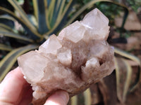 Natural Phantom Quartz Clusters x 2 From Luena, Congo