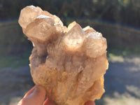 Natural Phantom Quartz Clusters x 2 From Luena, Congo