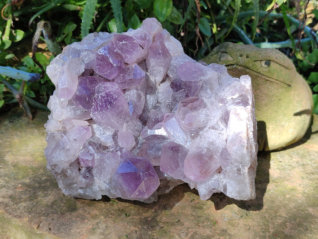 Natural Jacaranda Amethyst Quartz Cluster x 1 From Mumbwa, Zambia - Toprock Gemstones and Minerals 