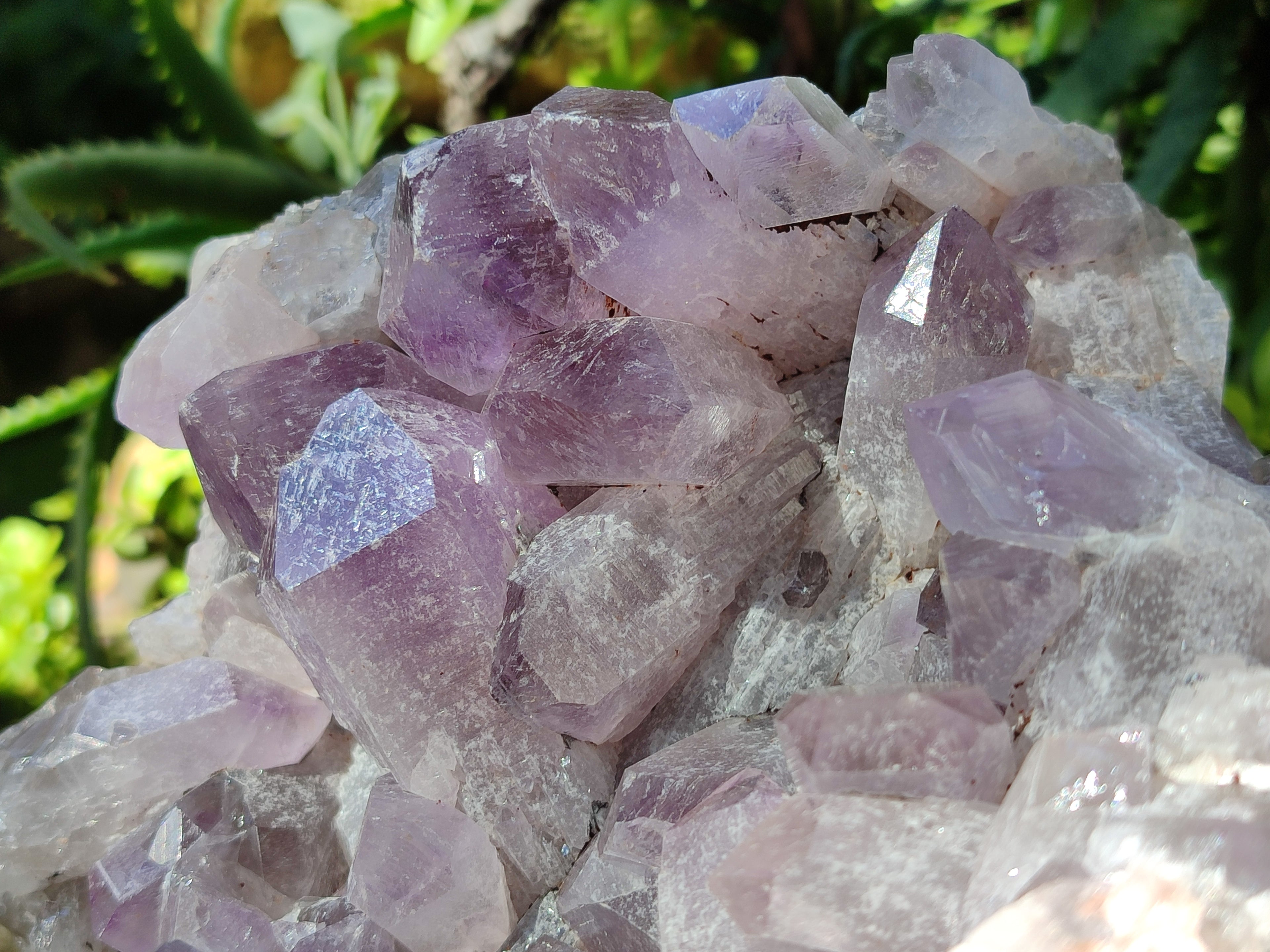 Natural Jacaranda Amethyst Quartz Cluster x 1 From Mumbwa, Zambia - Toprock Gemstones and Minerals 