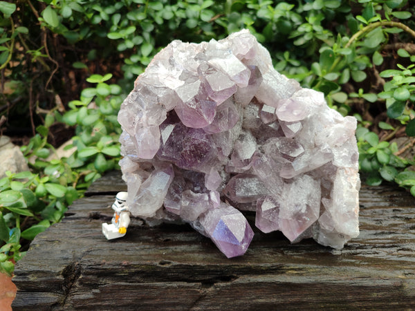 Natural Jacaranda Amethyst Quartz Cluster x 1 From Mumbwa, Zambia