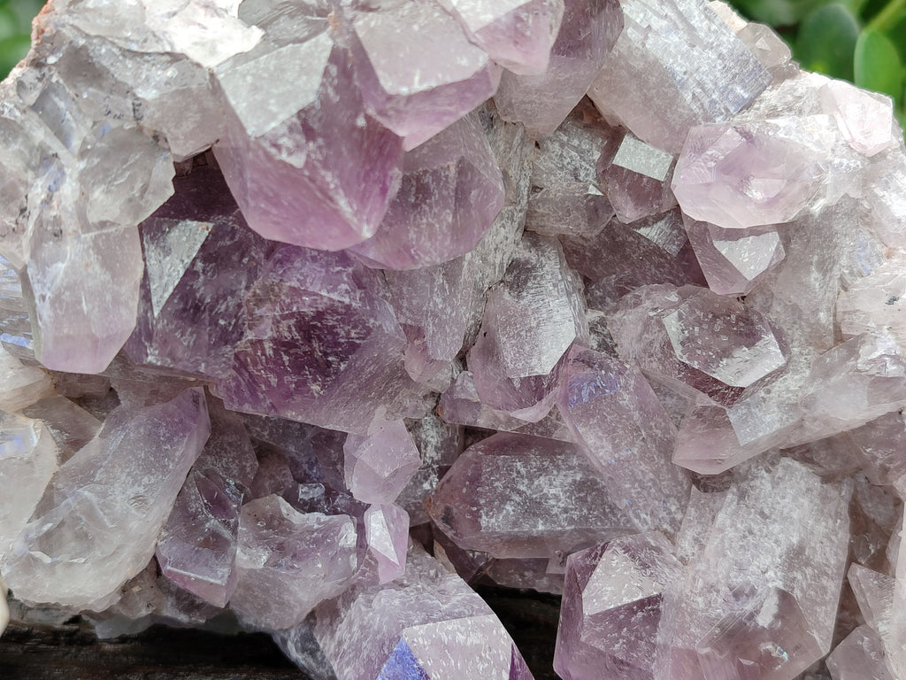 Natural Jacaranda Amethyst Quartz Cluster x 1 From Mumbwa, Zambia - Toprock Gemstones and Minerals 