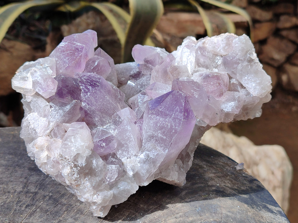 Natural Jacaranda Amethyst Quartz Cluster x 1 From Mumbwa, Zambia - Toprock Gemstones and Minerals 