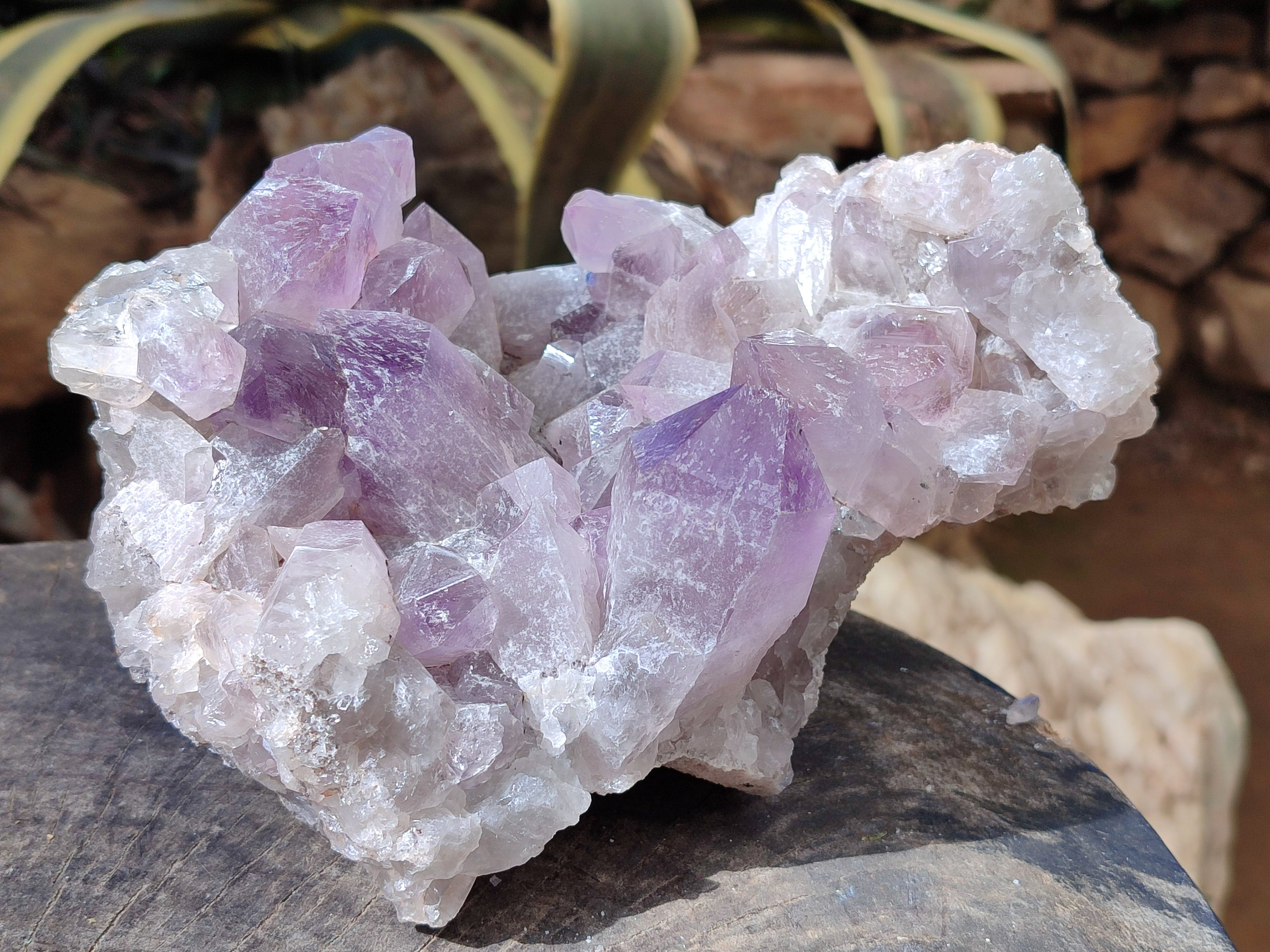 Natural Jacaranda Amethyst Quartz Cluster x 1 From Mumbwa, Zambia - Toprock Gemstones and Minerals 
