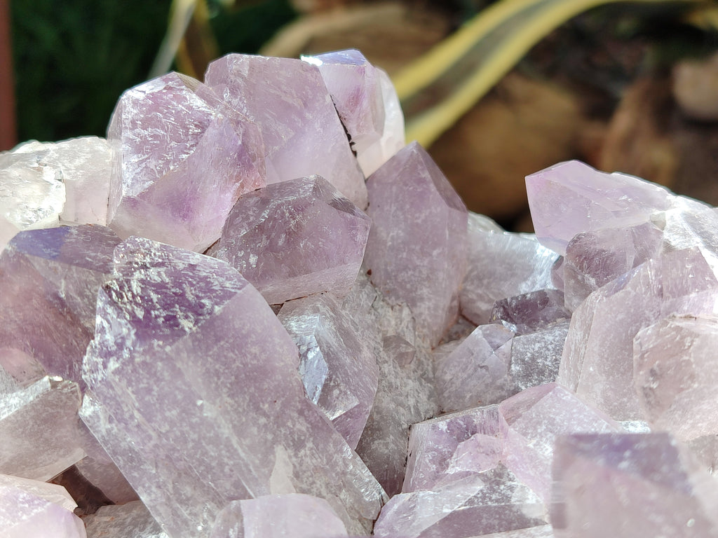 Natural Jacaranda Amethyst Quartz Cluster x 1 From Mumbwa, Zambia - Toprock Gemstones and Minerals 