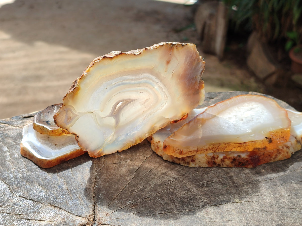 Polished Banded Agate Slices x 6 From Madagascar - Toprock Gemstones and Minerals 