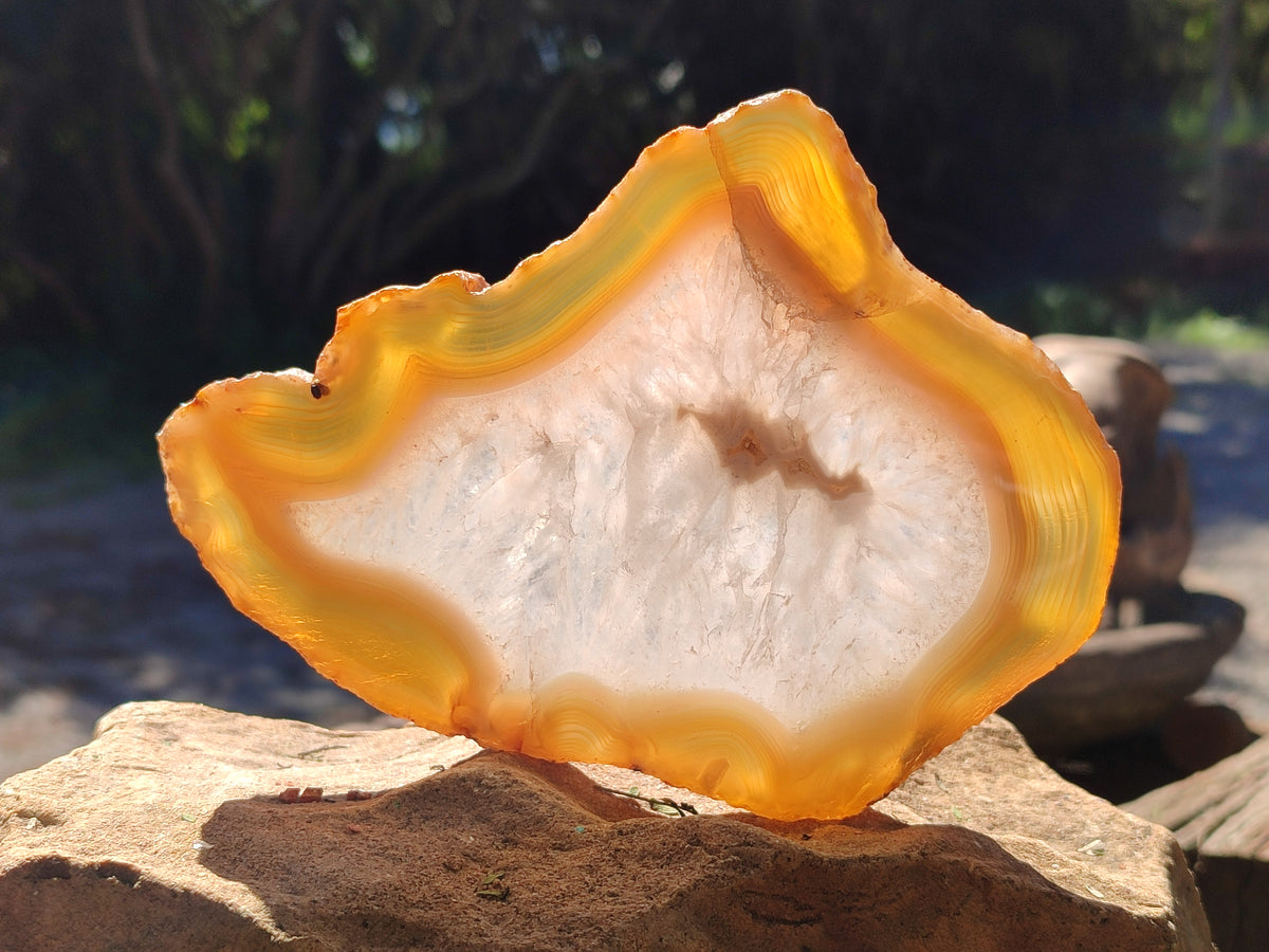 Polished Banded Agate Slices x 6 From Madagascar - Toprock Gemstones and Minerals 