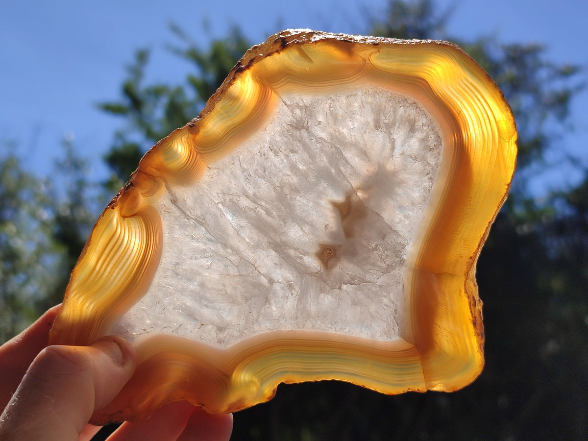 Polished Banded Agate Slices x 6 From Madagascar - Toprock Gemstones and Minerals 