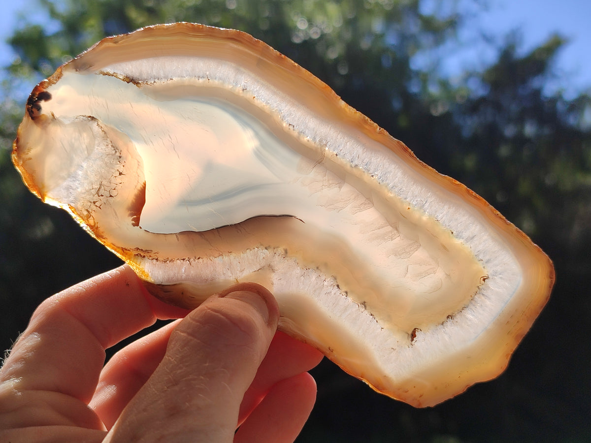 Polished Banded Agate Slices x 6 From Madagascar - Toprock Gemstones and Minerals 