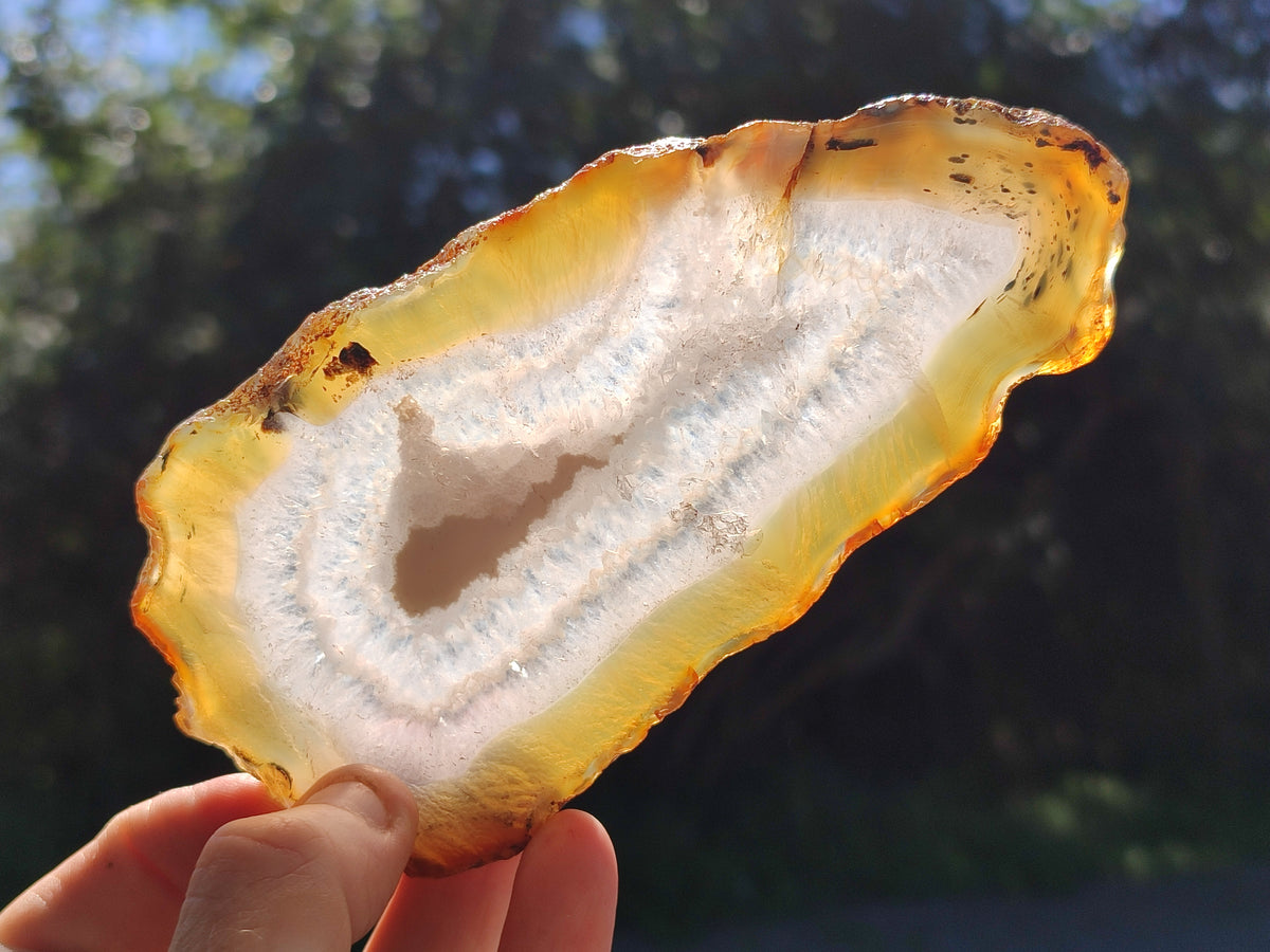 Polished Banded Agate Slices x 6 From Madagascar - Toprock Gemstones and Minerals 