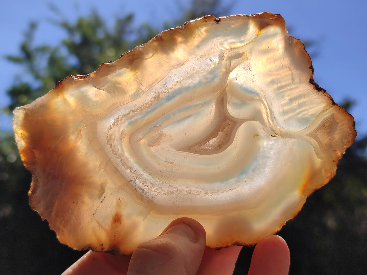 Polished Banded Agate Slices x 6 From Madagascar - Toprock Gemstones and Minerals 