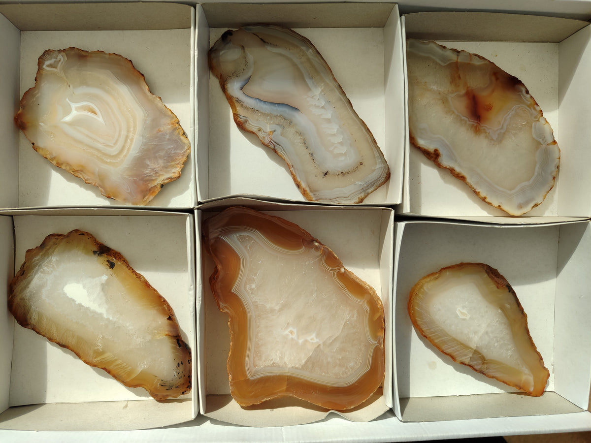 Polished Banded Agate Slices x 6 From Madagascar - Toprock Gemstones and Minerals 