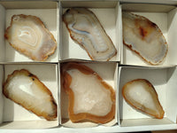 Polished Banded Agate Slices x 6 From Madagascar