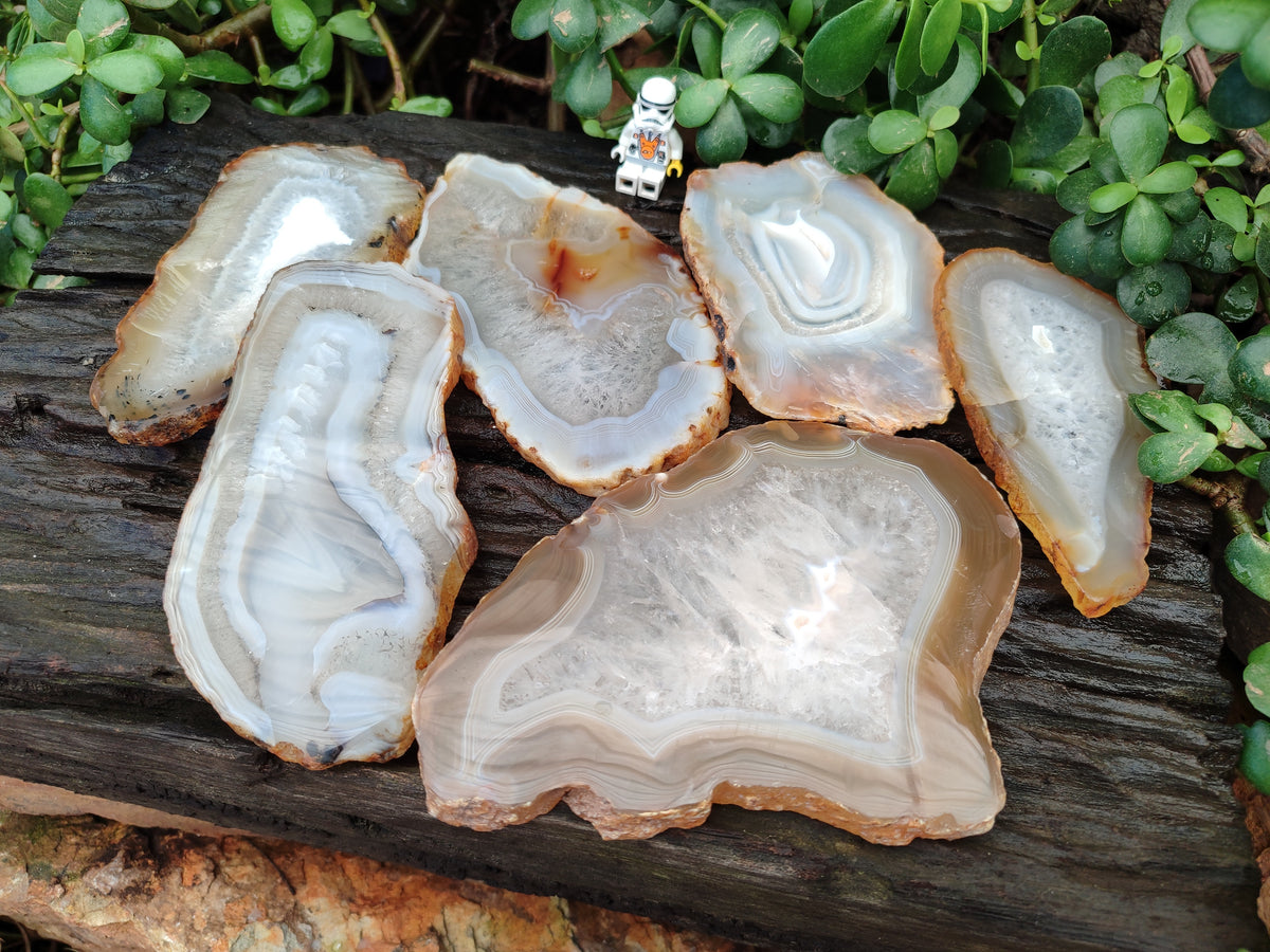 Polished Banded Agate Slices x 6 From Madagascar - Toprock Gemstones and Minerals 