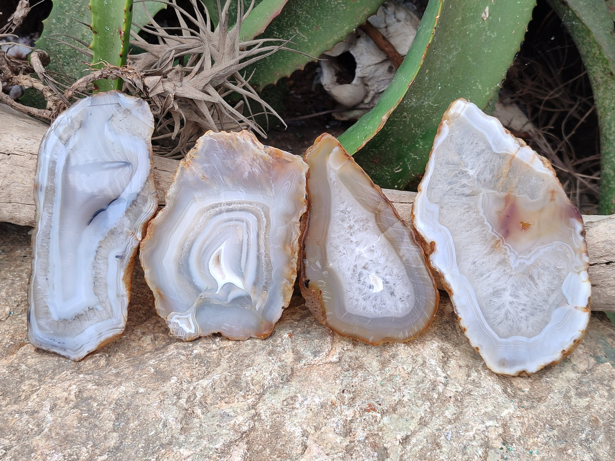 Polished Banded Agate Slices x 6 From Madagascar - Toprock Gemstones and Minerals 