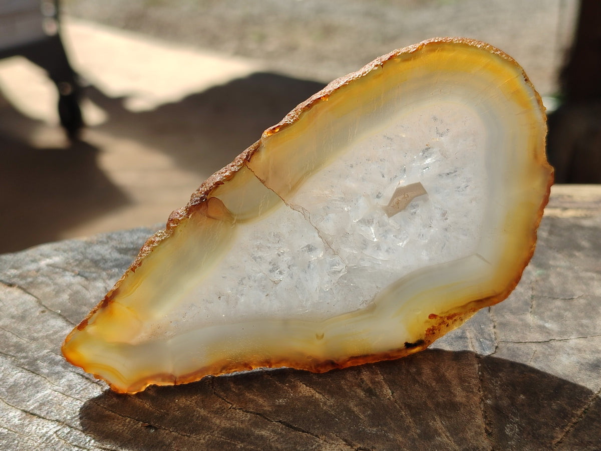 Polished Banded Agate Slices x 6 From Madagascar - Toprock Gemstones and Minerals 