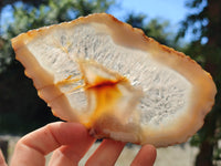 Polished Banded Agate Slices x 6 From Madagascar