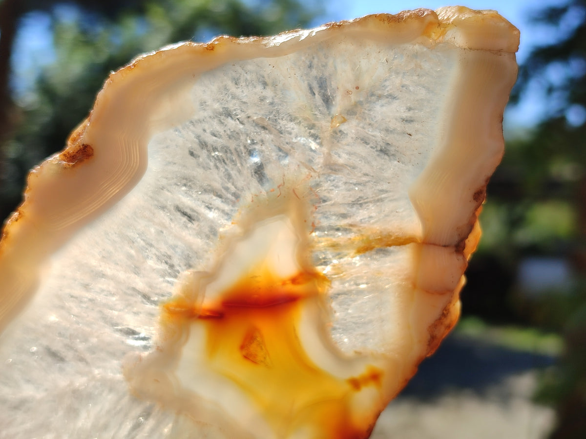 Polished Banded Agate Slices x 6 From Madagascar - Toprock Gemstones and Minerals 