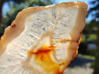 Polished Banded Agate Slices x 6 From Madagascar