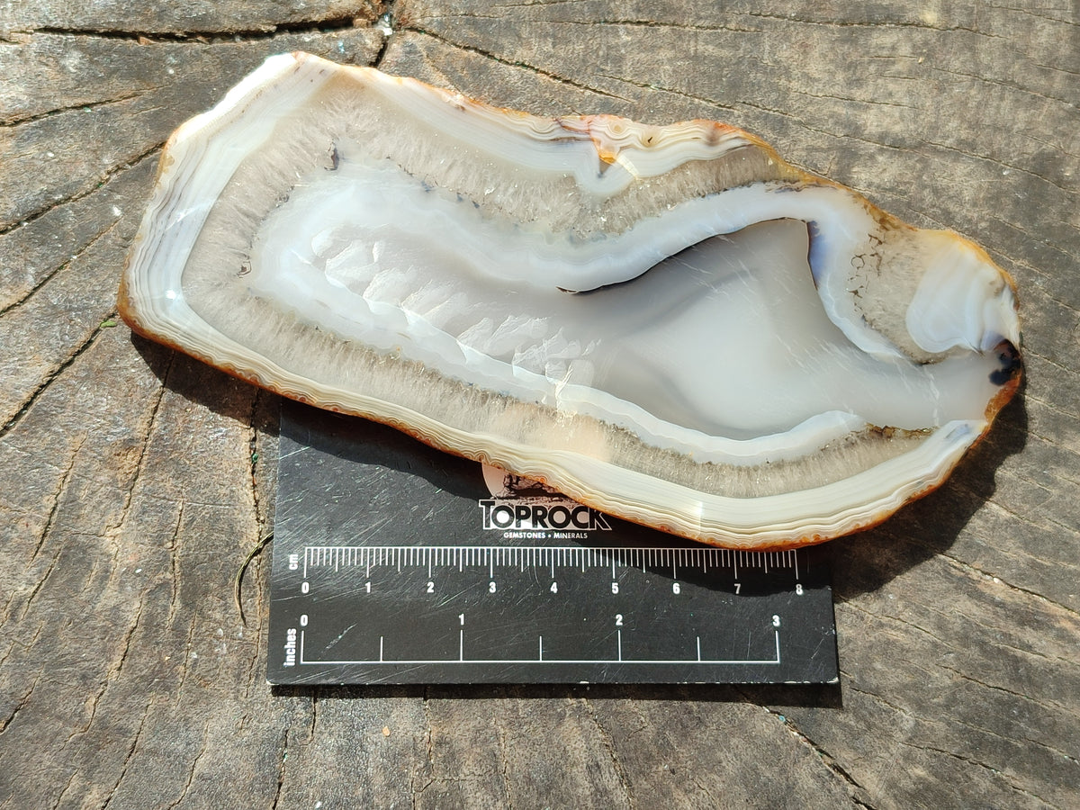 Polished Banded Agate Slices x 6 From Madagascar - Toprock Gemstones and Minerals 