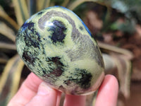 Polished Leopard Stone Free Forms x 11 From Nyanga, Zimbabwe