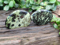 Polished Leopard Stone Free Forms x 11 From Nyanga, Zimbabwe