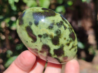 Polished Leopard Stone Free Forms x 11 From Nyanga, Zimbabwe