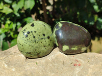 Polished Leopard Stone Free Forms x 11 From Nyanga, Zimbabwe