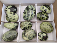 Polished Leopard Stone Free Forms x 11 From Nyanga, Zimbabwe