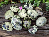 Polished Leopard Stone Free Forms x 11 From Nyanga, Zimbabwe