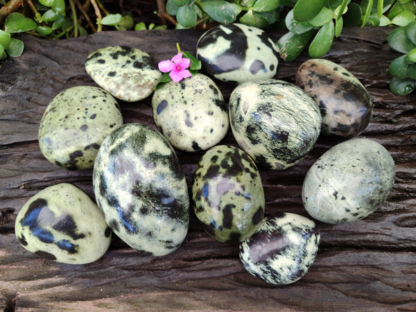 Polished Leopard Stone Free Forms x 11 From Nyanga, Zimbabwe