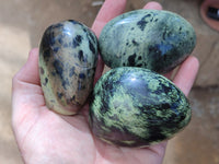 Polished Leopard Stone Free Forms x 11 From Nyanga, Zimbabwe