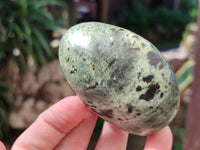 Polished Leopard Stone Free Forms x 11 From Nyanga, Zimbabwe