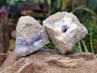 Natural Blue Lace Agate Geode Specimens x 24 From Nsanje, Malawi