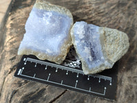 Natural Blue Lace Agate Geode Specimens x 24 From Nsanje, Malawi