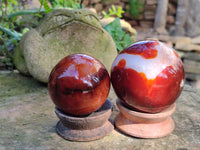 Polished Carnelian Agate Spheres x 3 From Madagascar