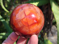 Polished Carnelian Agate Spheres x 3 From Madagascar