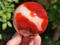 Polished Carnelian Agate Spheres x 3 From Madagascar
